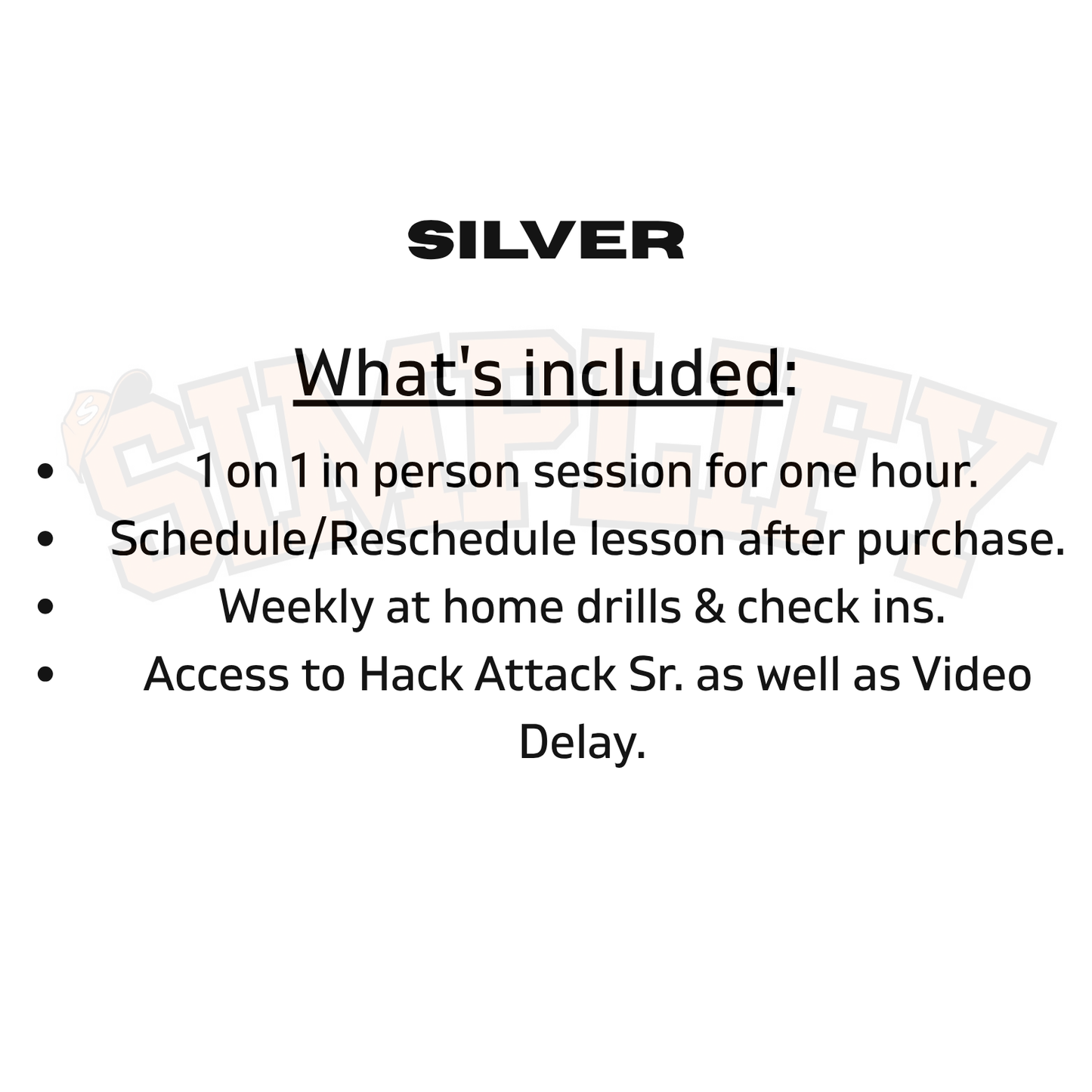 Silver - 4 Lesson Package (1 hr)
