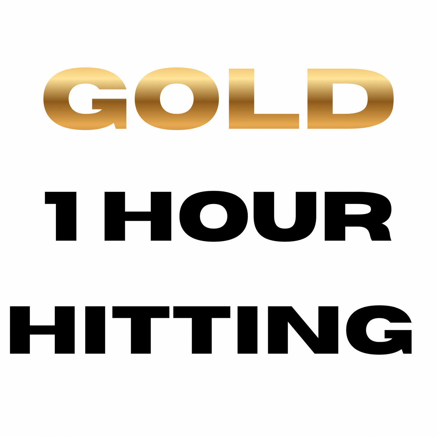 Gold - Hitting lesson (1 hr)