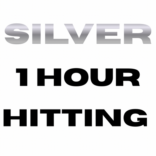Silver - Hitting Lesson (1 hr)