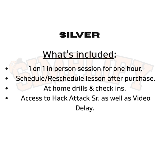 Silver - Hitting Lesson (1 hr)