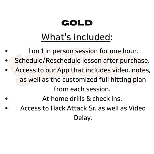 Gold - Hitting lesson (1 hr)