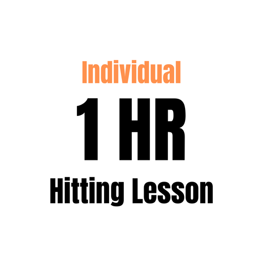Hitting Lesson (1 hr)