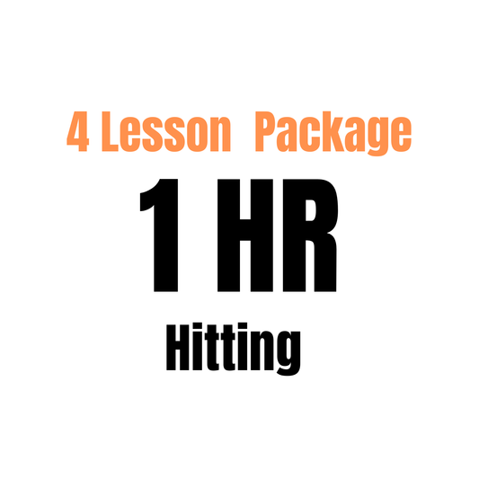 4 Lesson Package (1 hr)
